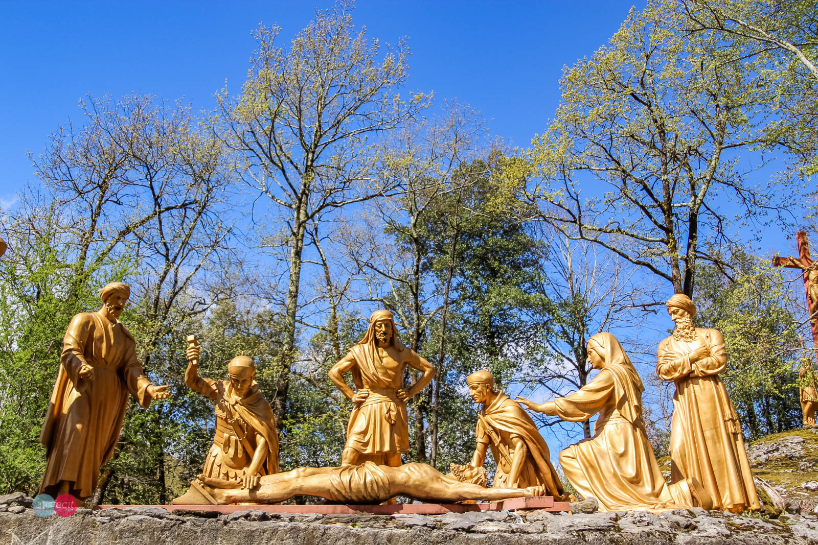 Nom de l'image : 10_115533_0250_N.JUNG_Photographie.Pro — Description :