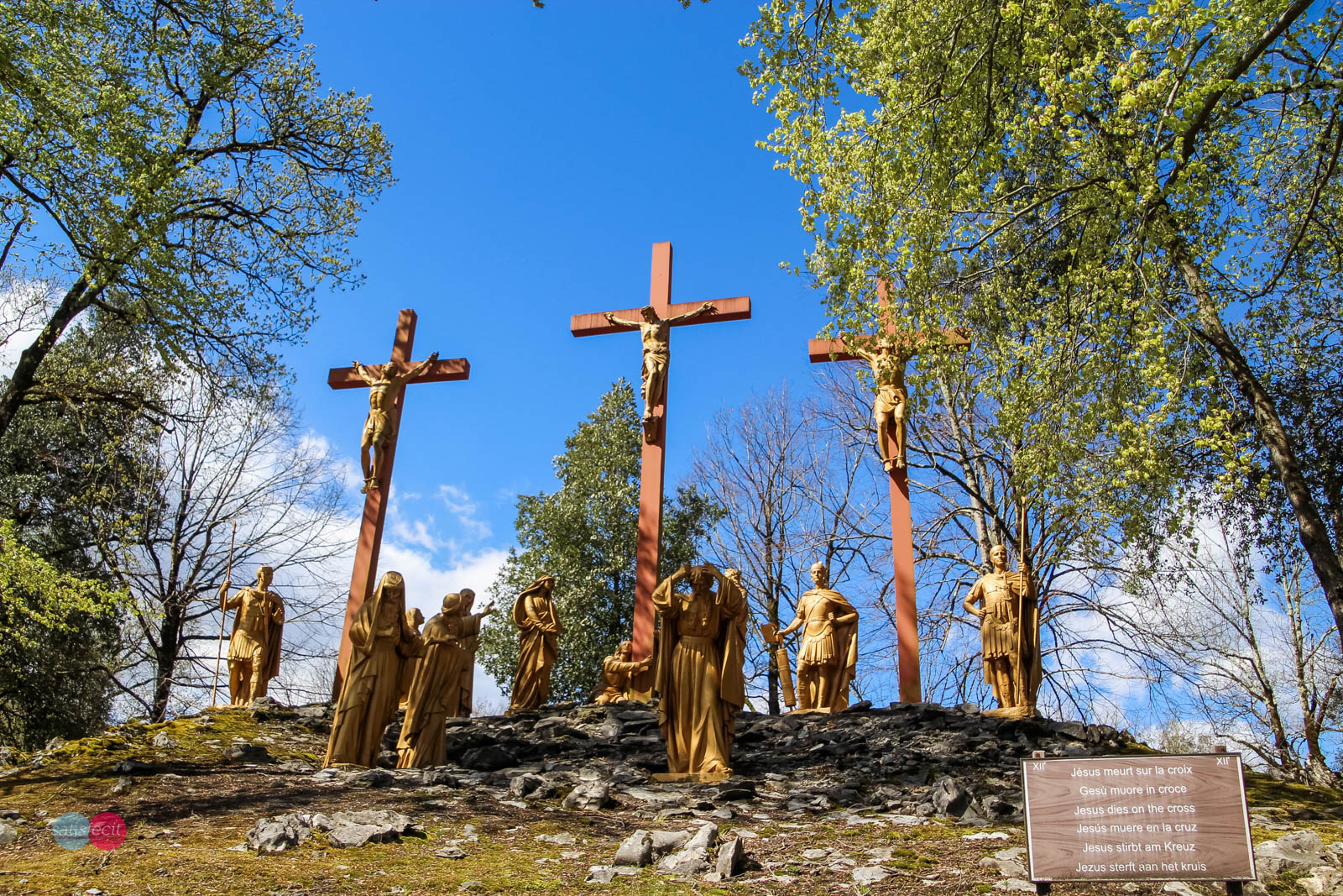 Nom de l'image : 10_120115_0271_N.JUNG_Photographie.Pro — Description :