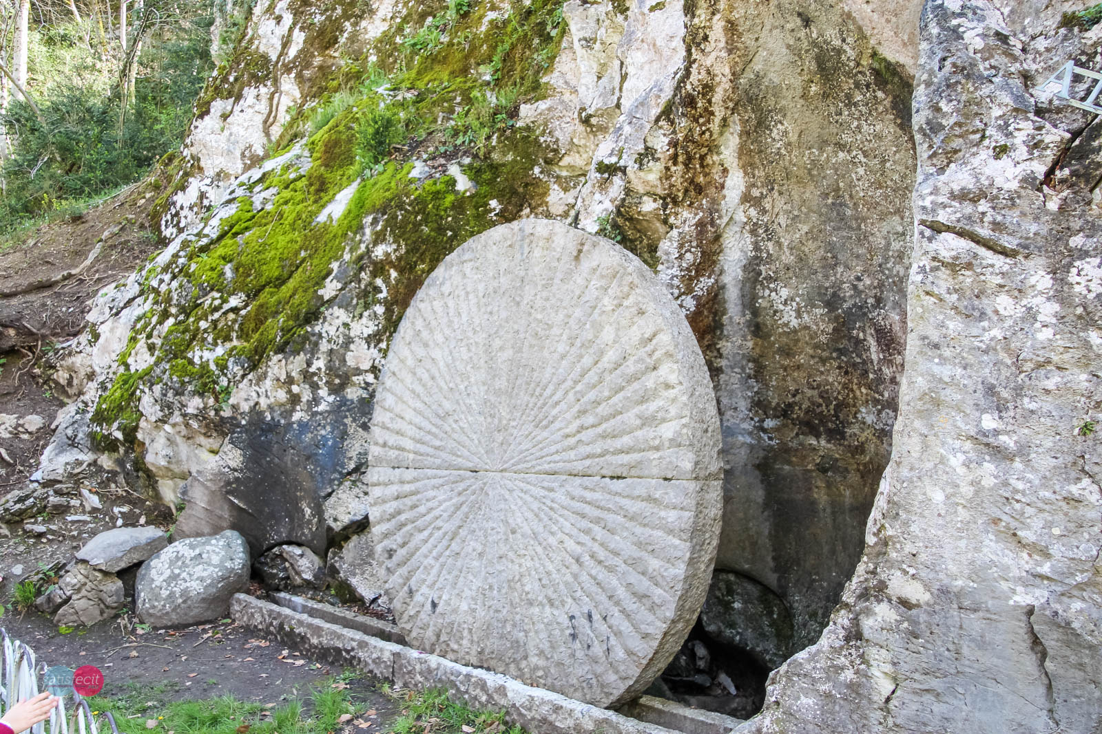 Nom de l'image : 10_121543_0331_N.JUNG_Photographie.Pro — Description :