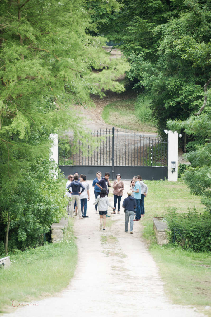 Nom de l'image : 160521_171453_D3s130765 — Description :