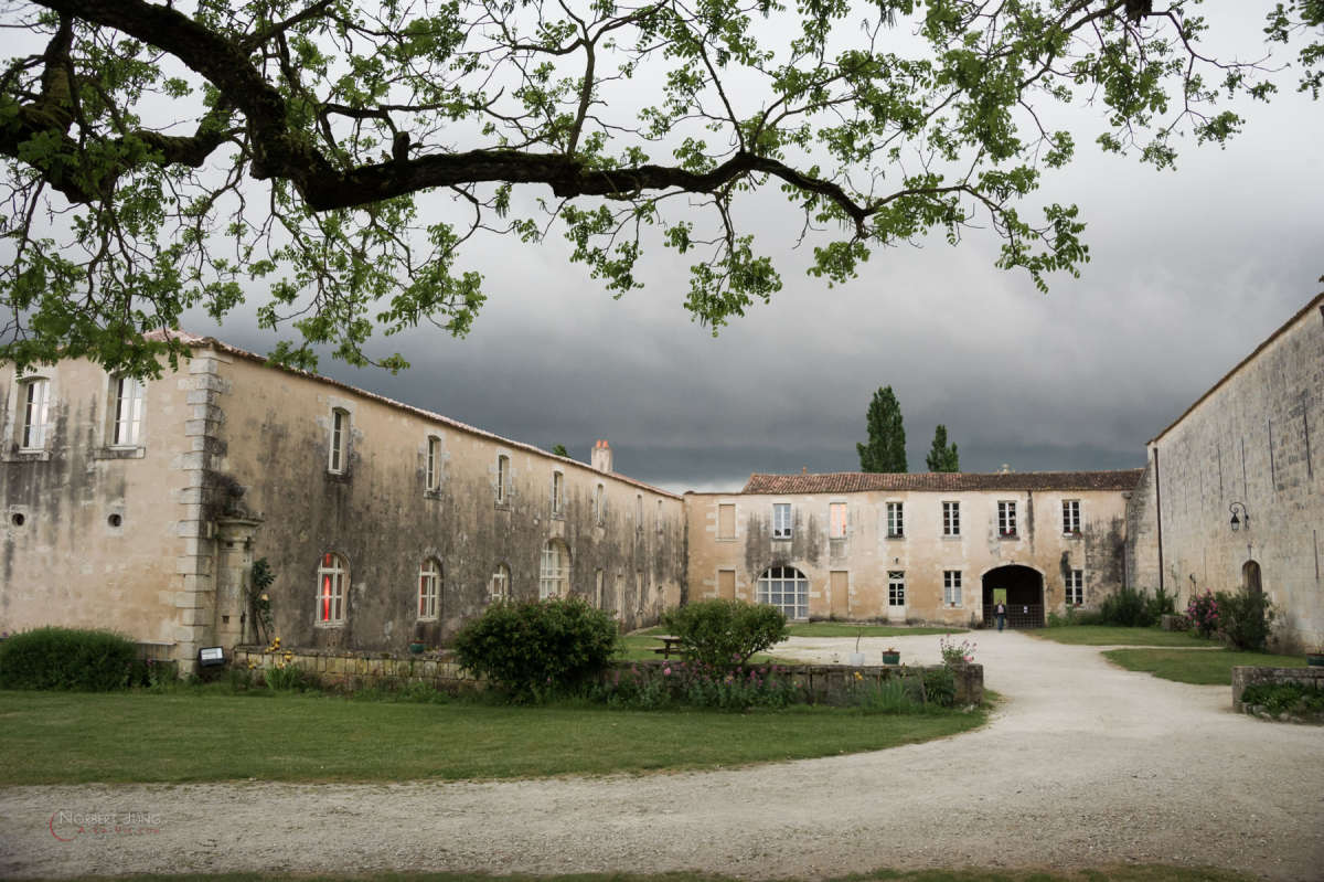 Nom de l'image : 160521_203710_D3s130921 — Description :