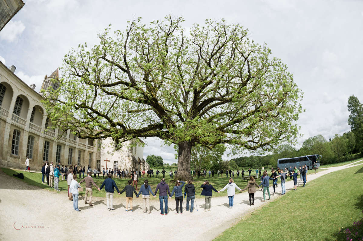 Nom de l'image : 160522_161848_D3s131654 — Description :