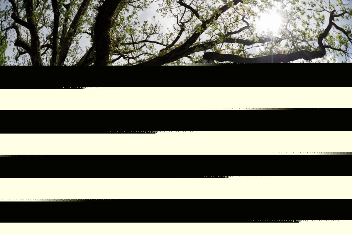 Nom de l'image : 160522_162111_D3s131661 — Description :