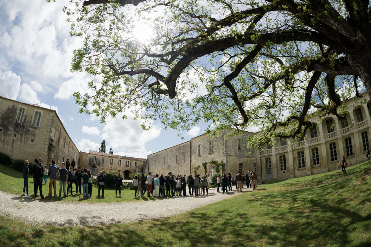 Nom de l'image : 160522_163119_D3s131715 — Description :