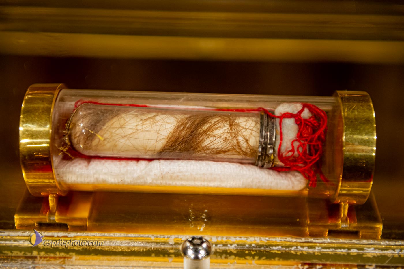 Nom de l'image : D3s156782_Copyright_N.JUNG_Photographie.Pro — Description :