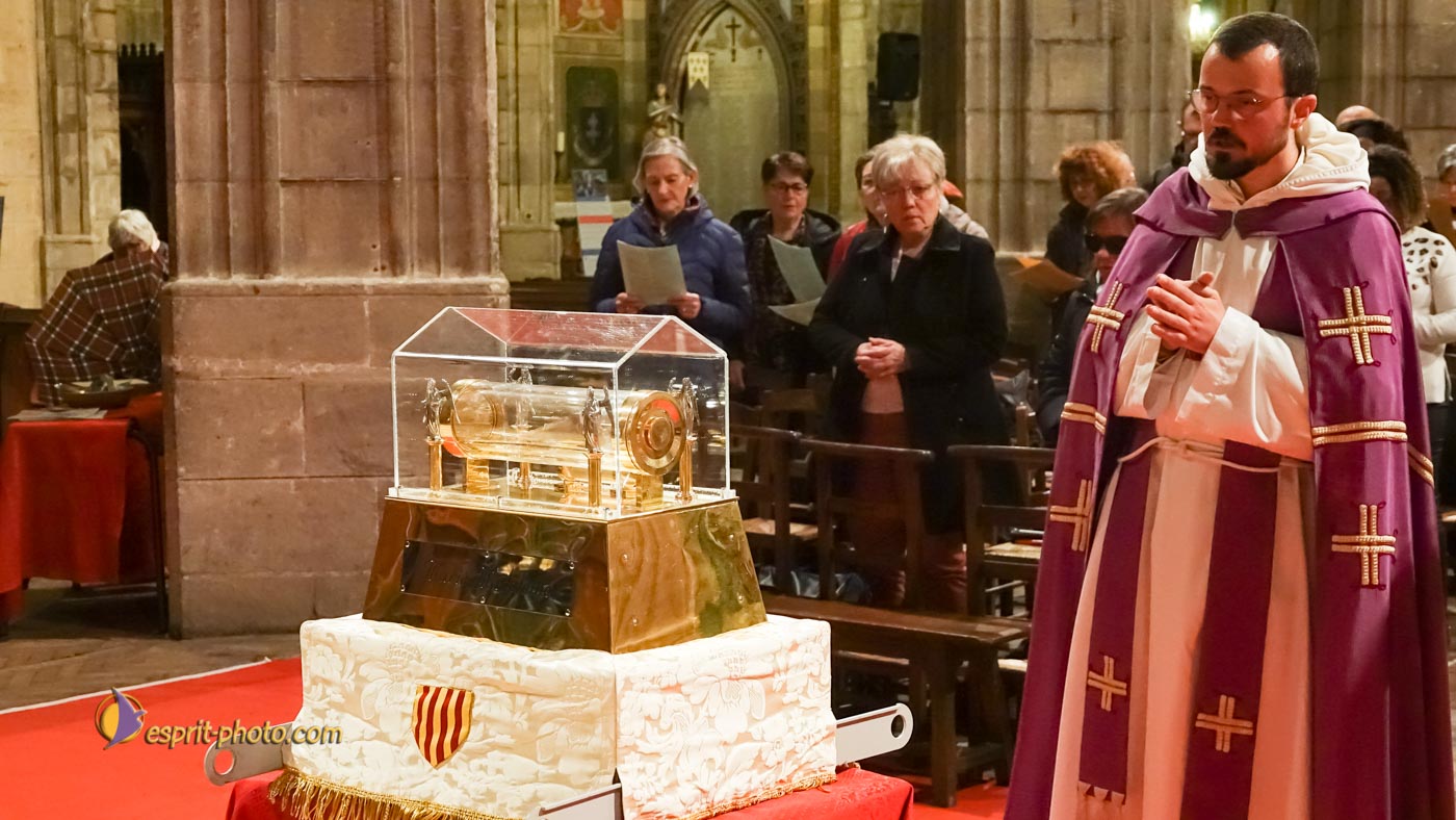 Nom de l'image : S1136853_Copyright_N.JUNG_Photographie.Pro — Description :