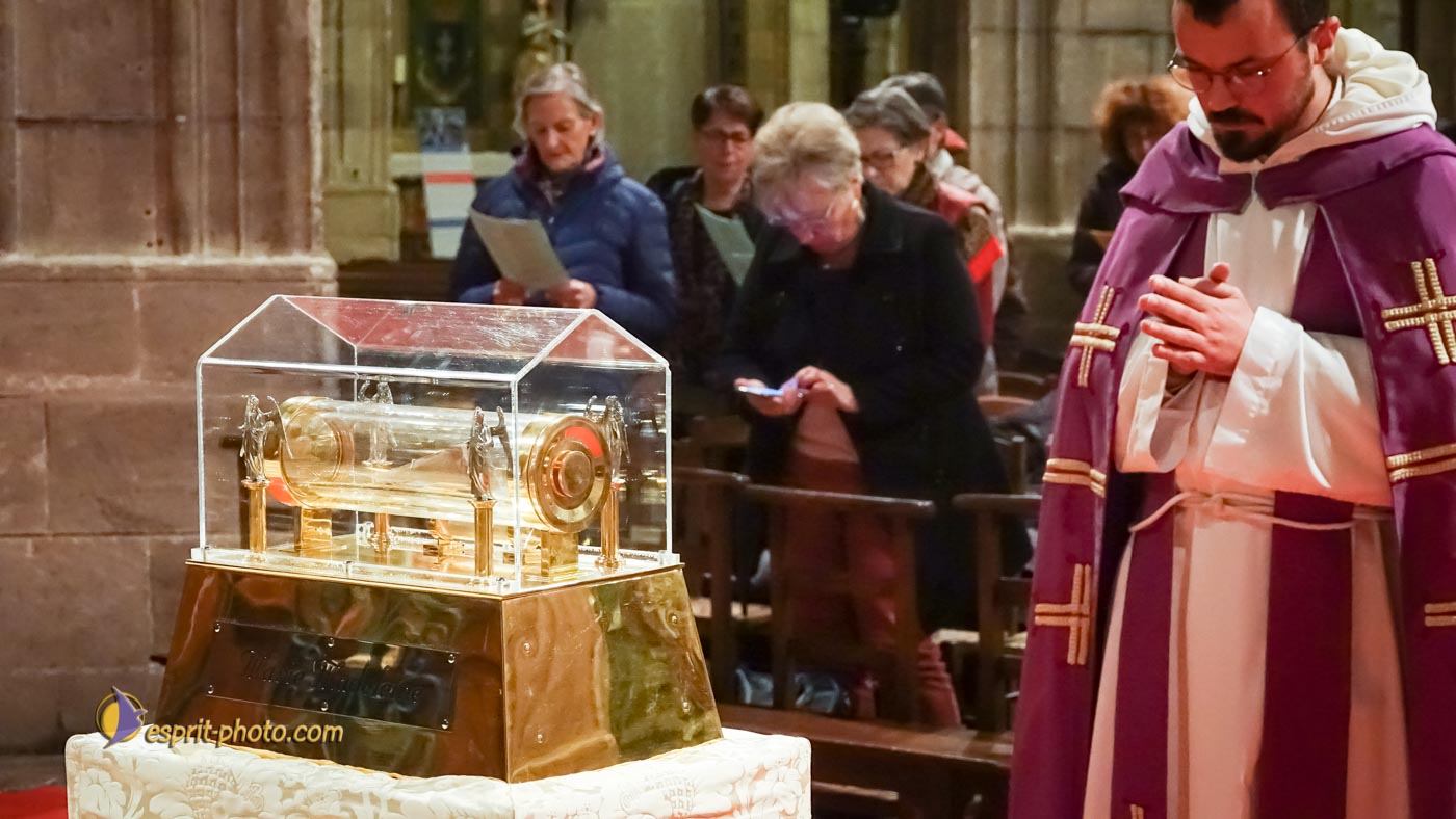 Nom de l'image : S1136860_Copyright_N.JUNG_Photographie.Pro — Description :