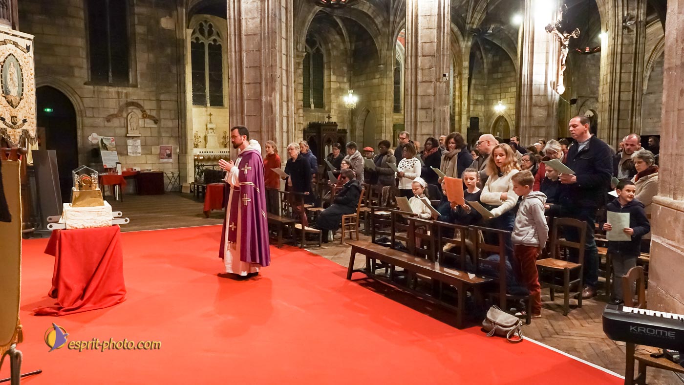 Nom de l'image : S1136867_Copyright_N.JUNG_Photographie.Pro — Description :