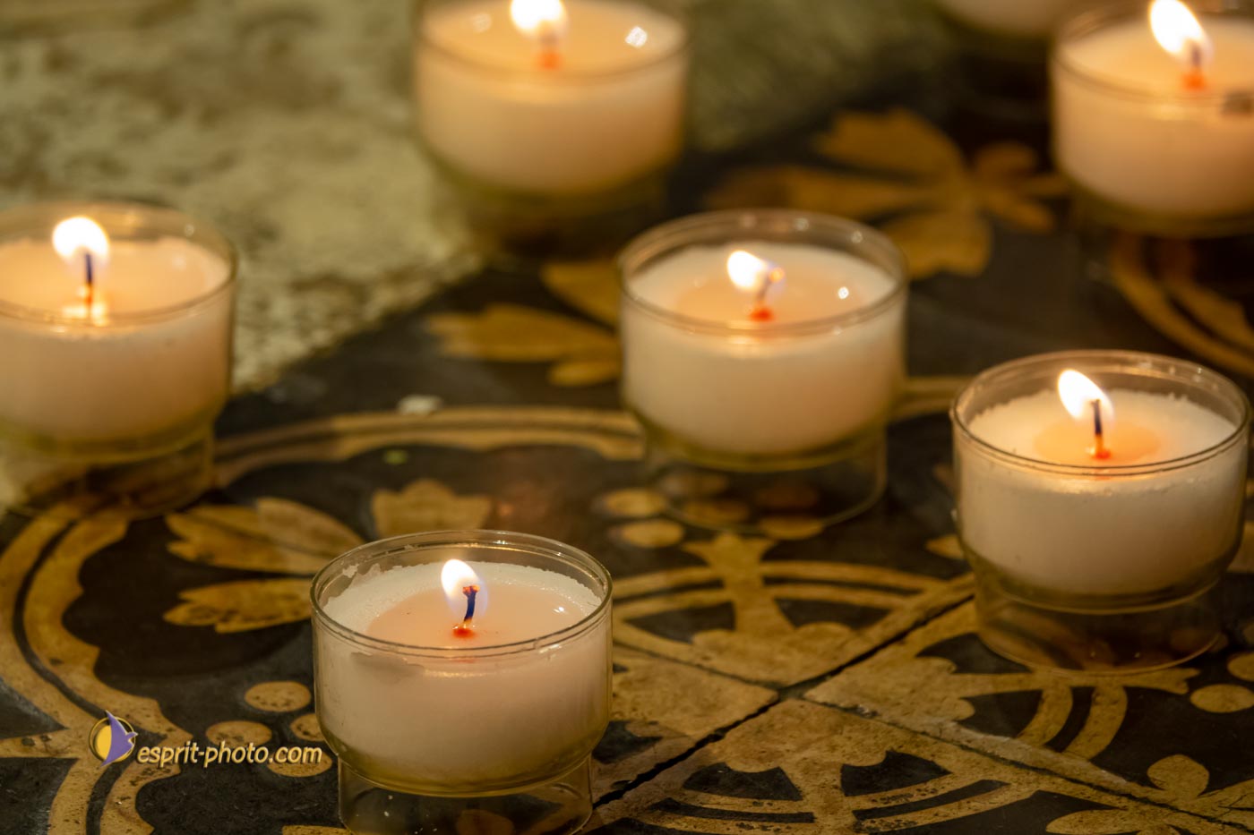 Nom de l'image : S1136951_Copyright_N.JUNG_Photographie.Pro — Description :