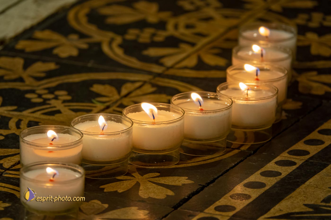 Nom de l'image : S1136954_Copyright_N.JUNG_Photographie.Pro — Description :