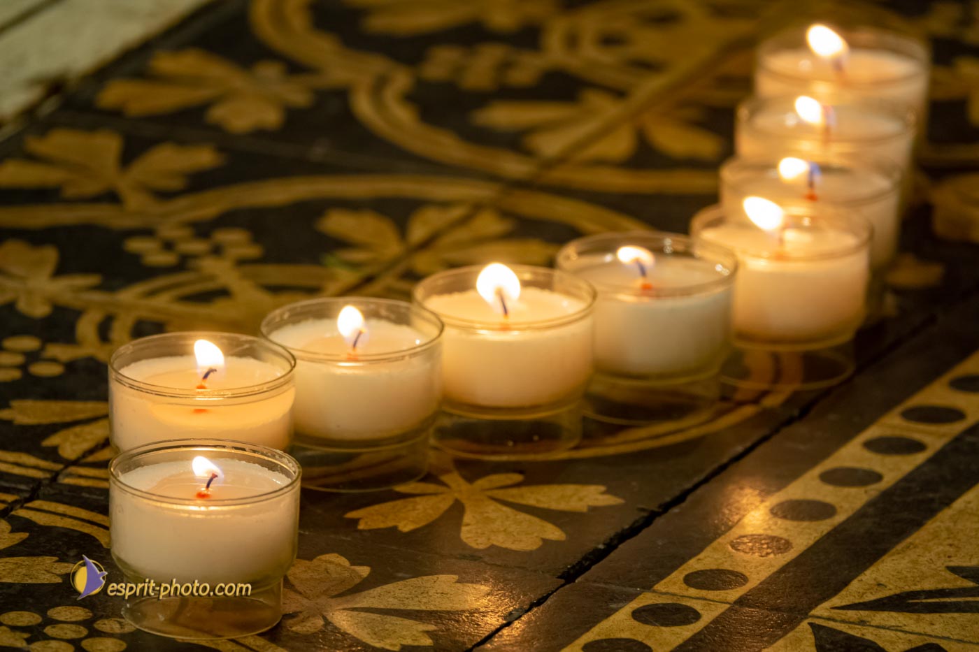 Nom de l'image : S1136955_Copyright_N.JUNG_Photographie.Pro — Description :