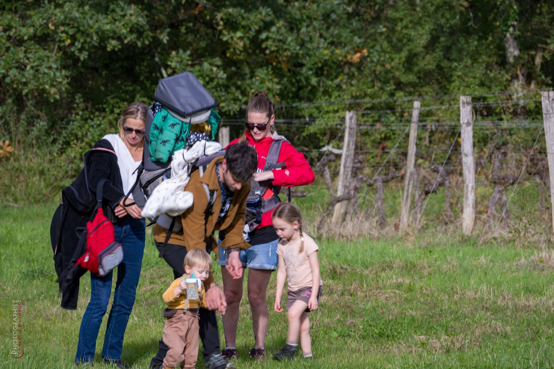 Nom de l'image : NZ9016803_c_PhotoGraphie.Pro — Description :