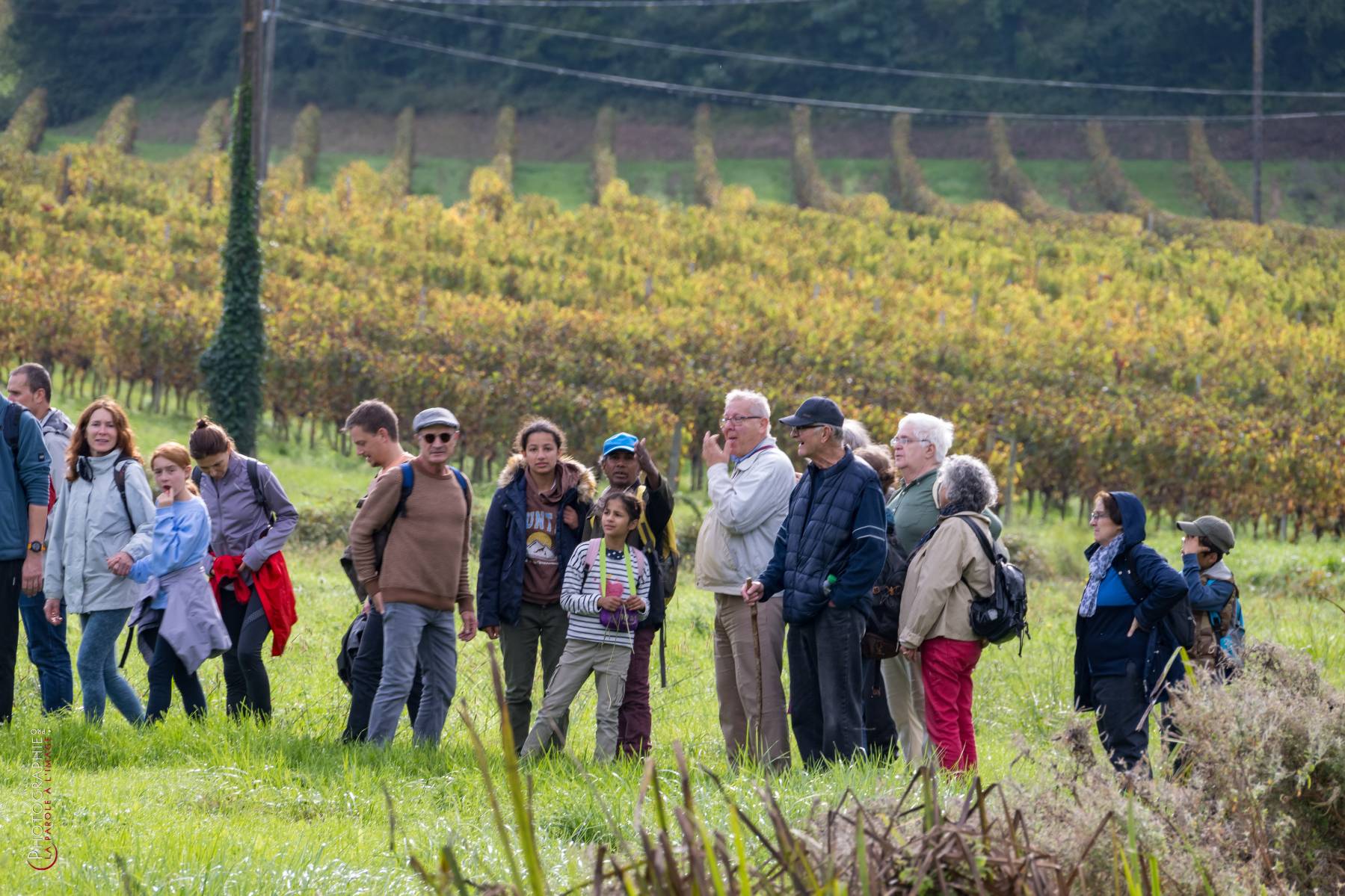 Nom de l'image : NZ9016813_c_PhotoGraphie.Pro — Description :