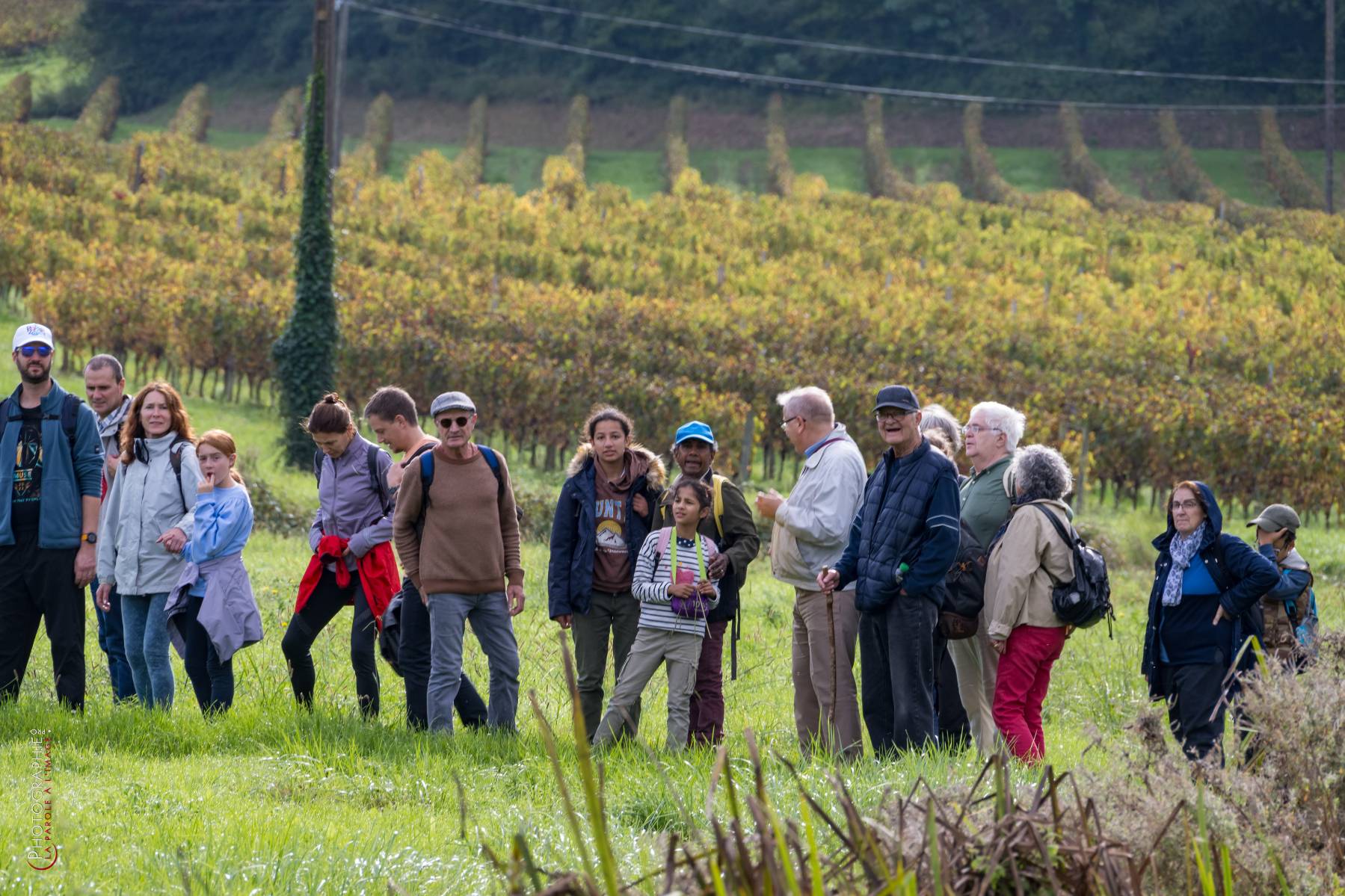 Nom de l'image : NZ9016814_c_PhotoGraphie.Pro — Description :