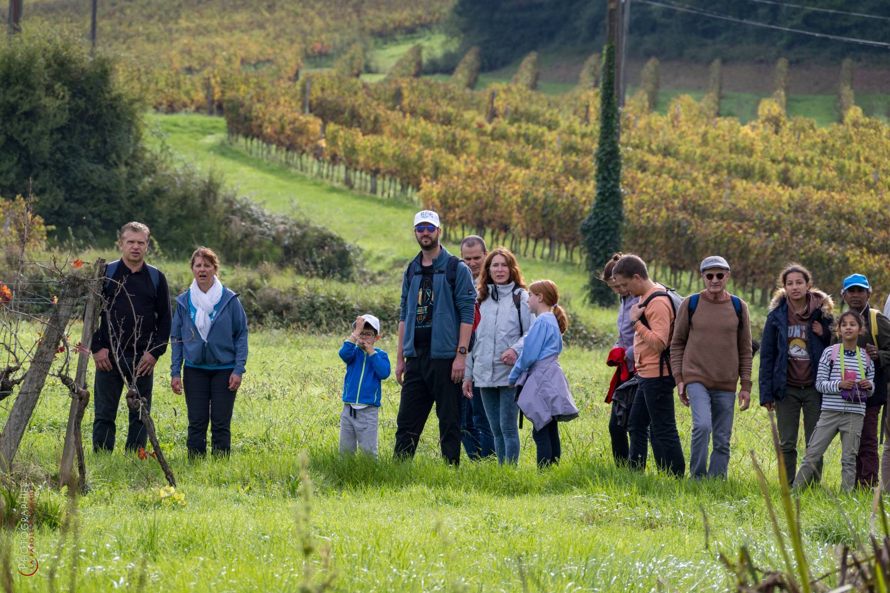 Nom de l'image : NZ9016815_c_PhotoGraphie.Pro — Description :