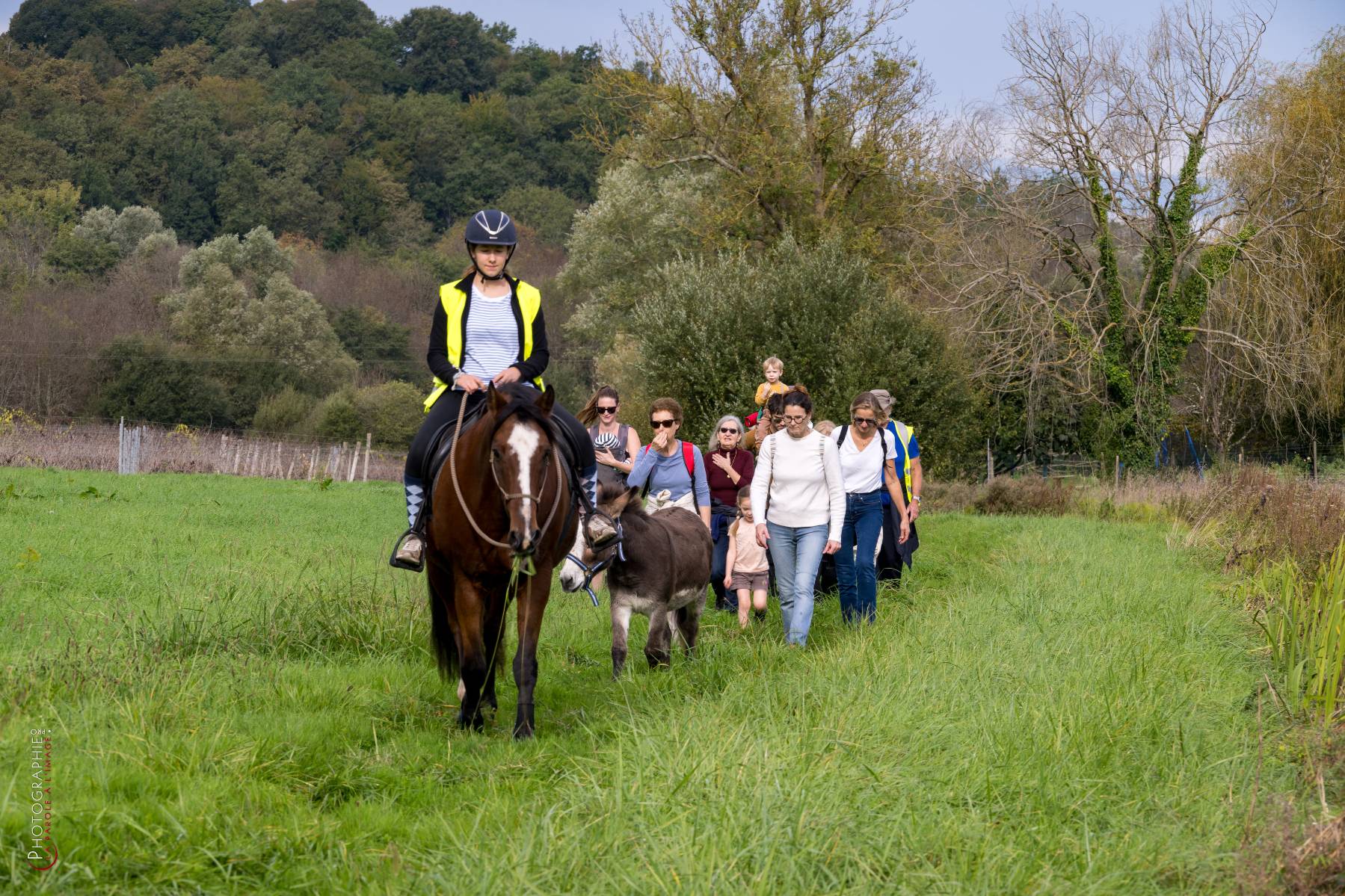 Nom de l'image : NZ9016817_c_PhotoGraphie.Pro — Description :