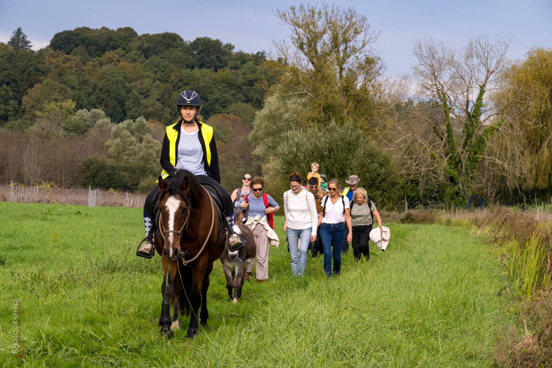 Nom de l'image : NZ9016820_c_PhotoGraphie.Pro — Description :