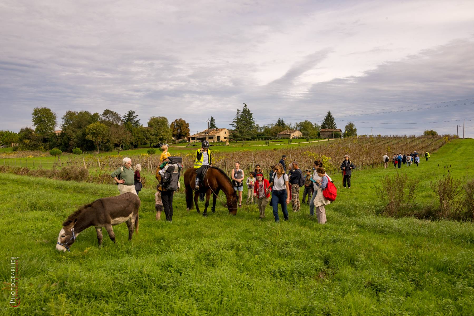 Nom de l'image : NZ9016824_c_PhotoGraphie.Pro — Description :