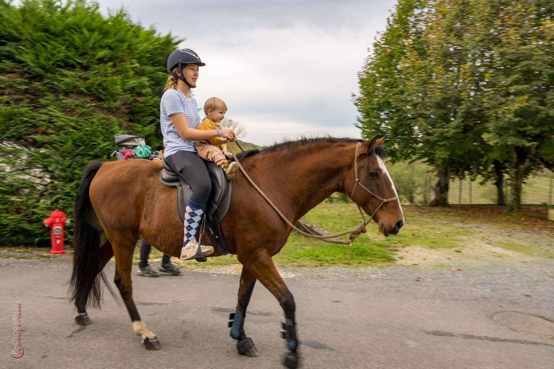 Nom de l'image : NZ9016840_c_PhotoGraphie.Pro — Description :