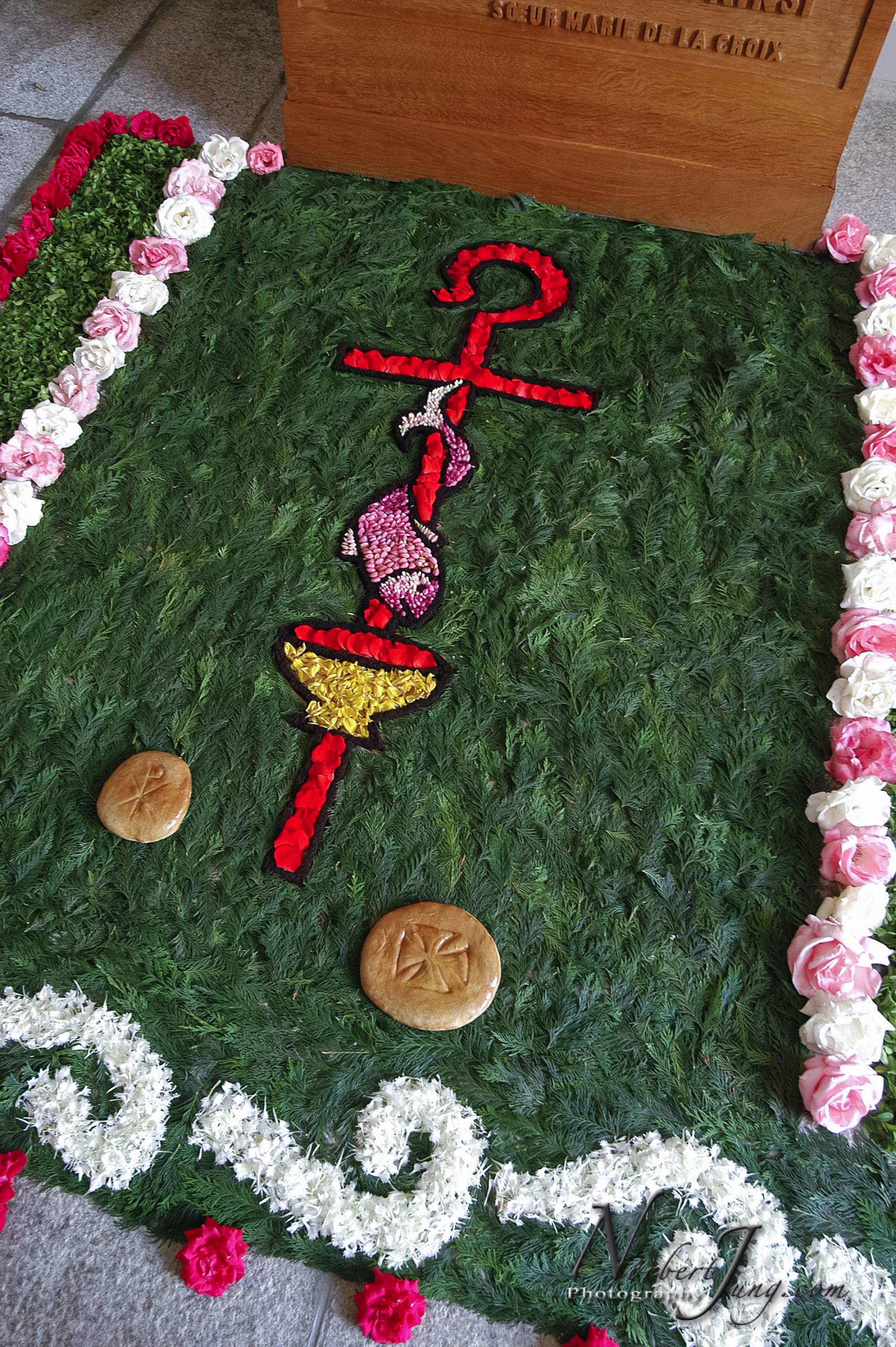 Nom de l'image : D1144147-01a_(c)www.Norbert-JUNG-com-Photographe — Description :