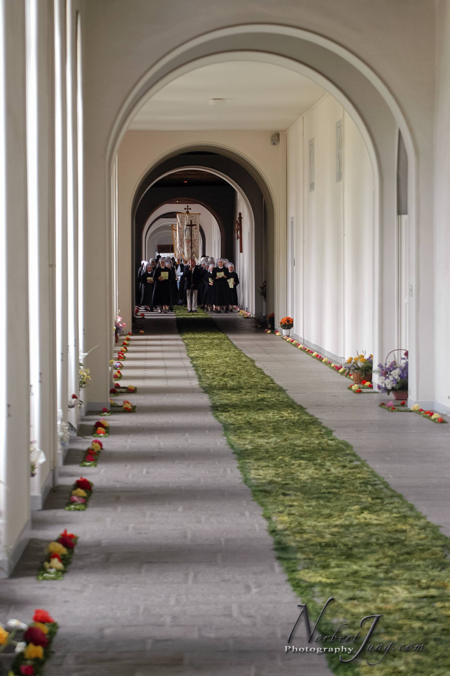 Nom de l'image : D1144218-01a_(c)www.Norbert-JUNG-com-Photographe — Description :