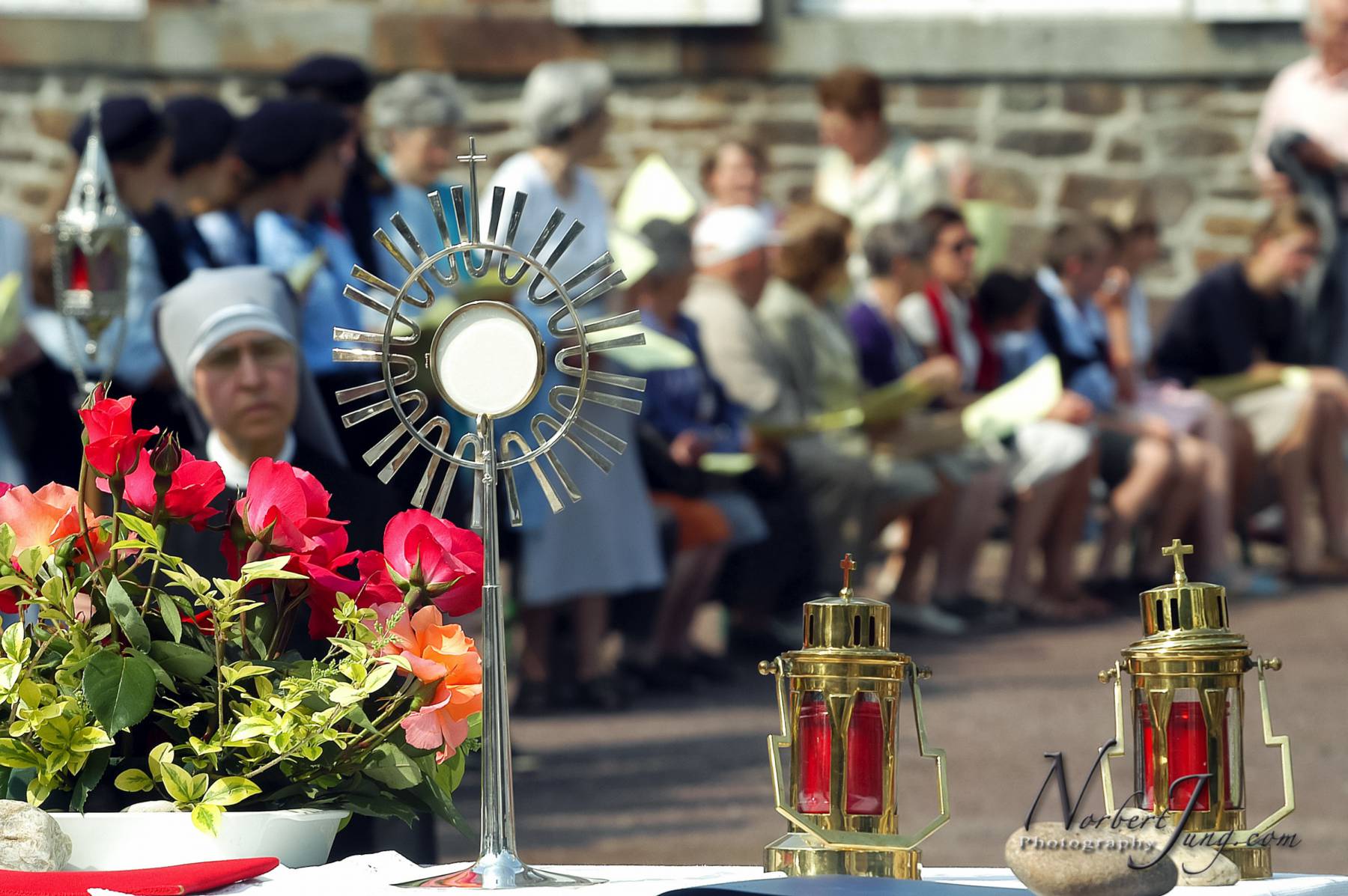 Nom de l'image : D1144457-01a_(c)www.Norbert-JUNG-com-Photographe — Description :