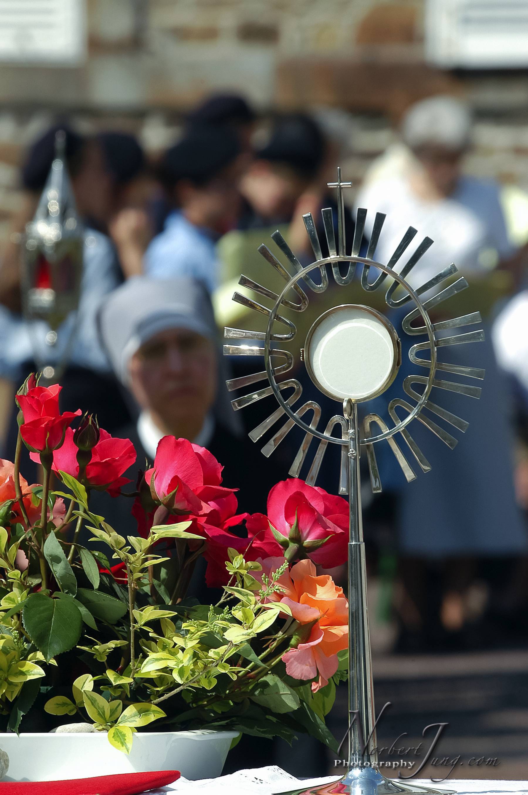 Nom de l'image : D1144460-01a_(c)www.Norbert-JUNG-com-Photographe — Description :