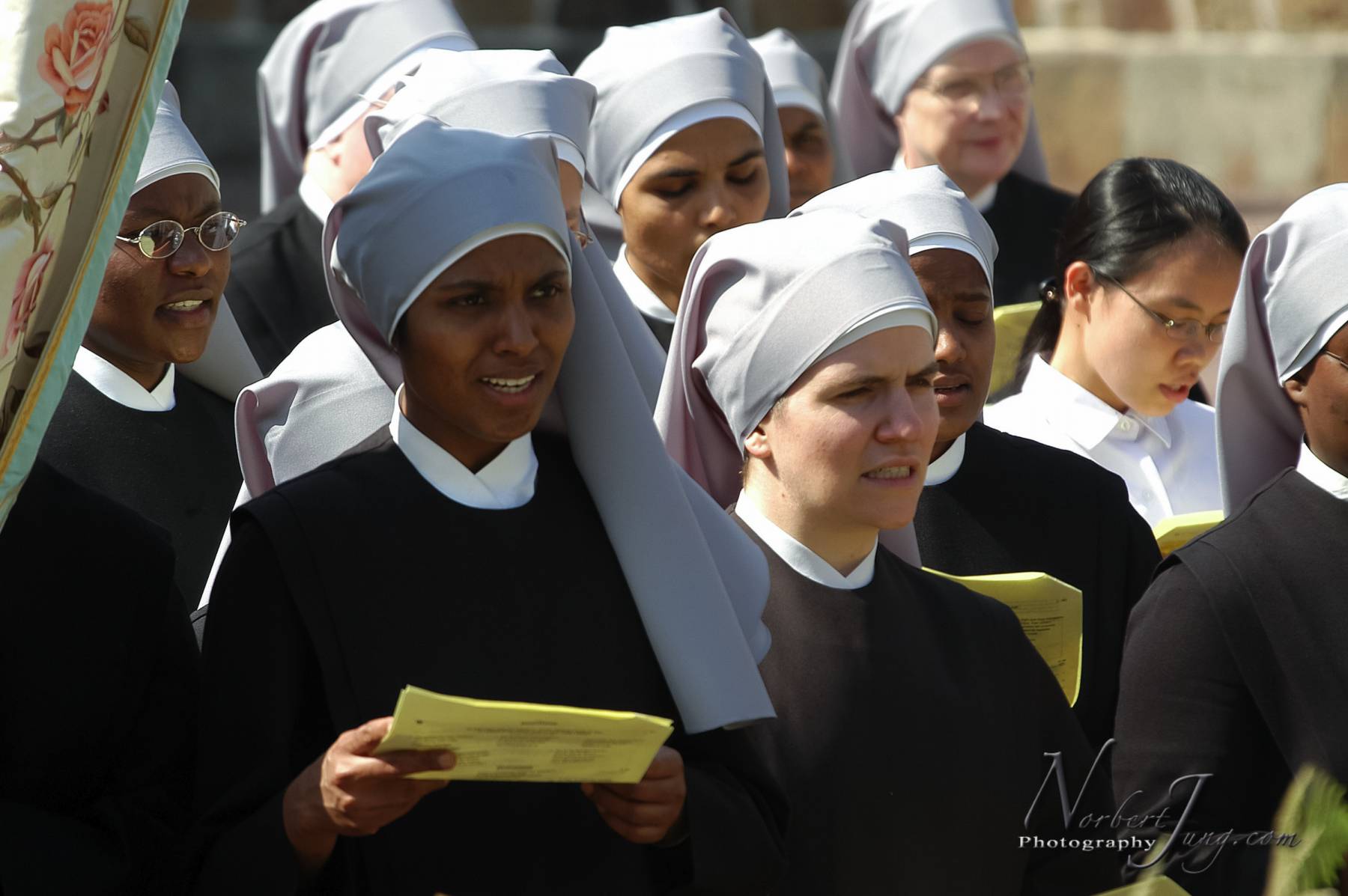 Nom de l'image : D1144469-01a_(c)www.Norbert-JUNG-com-Photographe — Description :