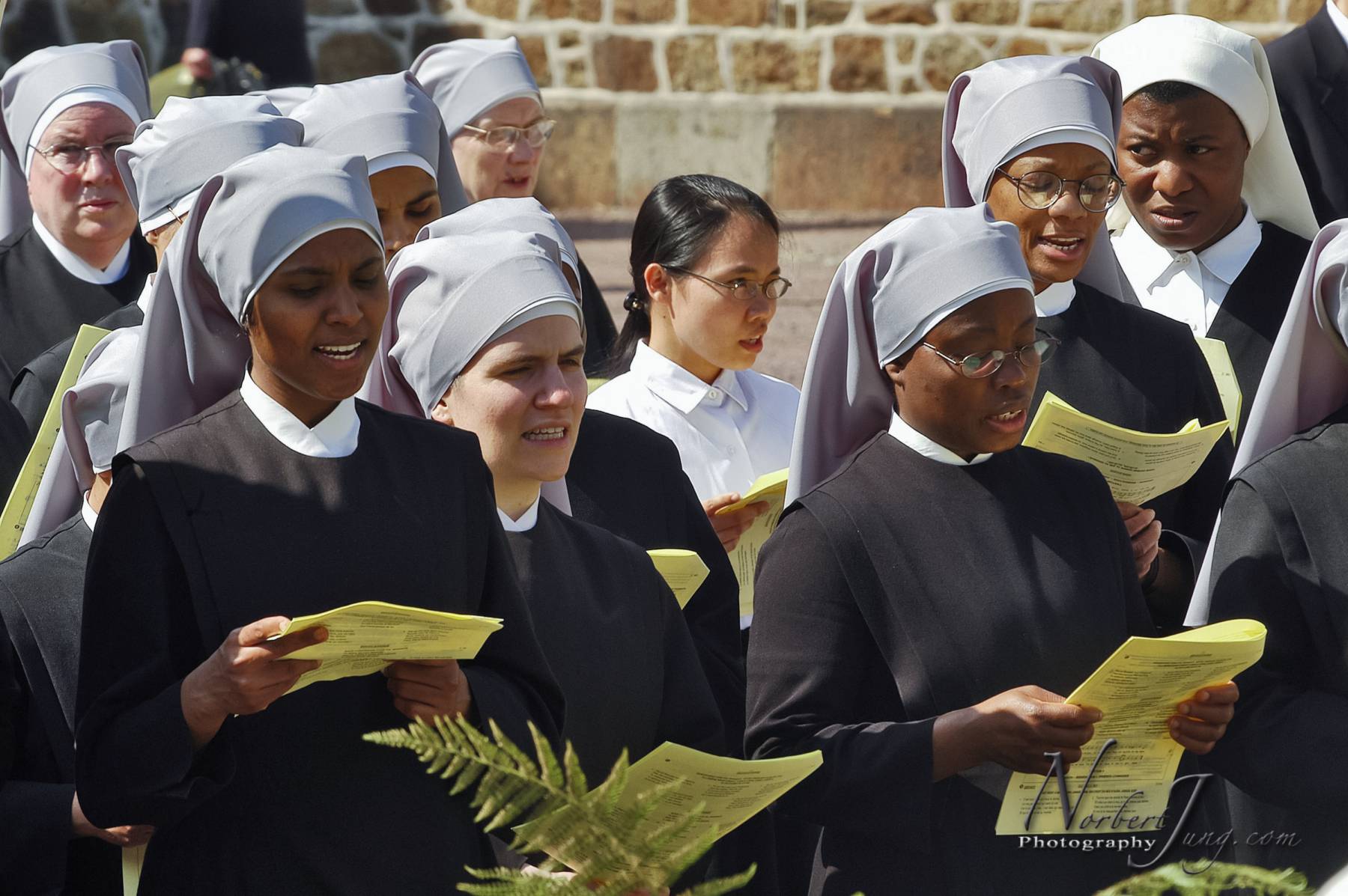 Nom de l'image : D1144480-01a_(c)www.Norbert-JUNG-com-Photographe — Description :