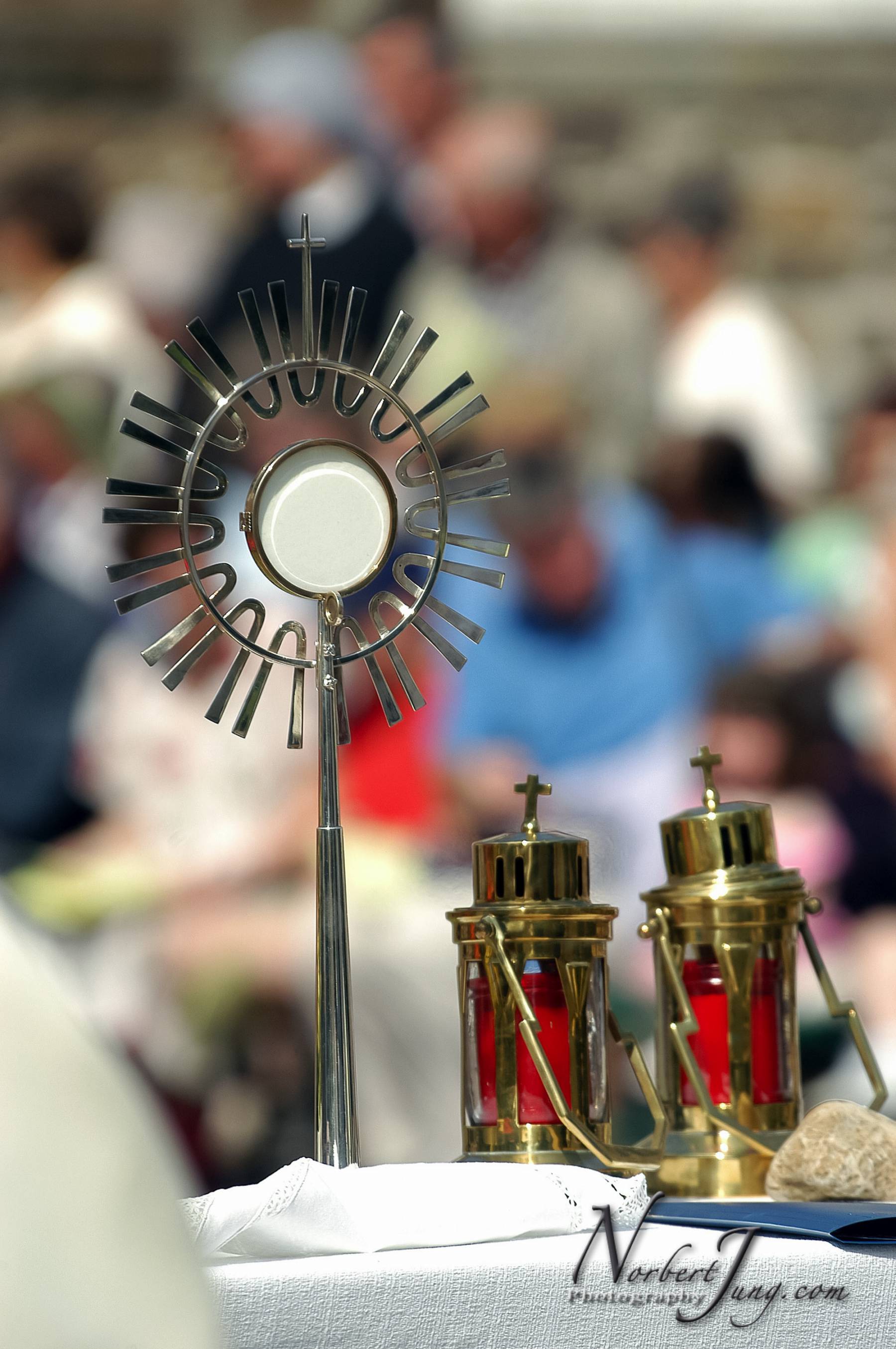 Nom de l'image : D1144496-01a_(c)www.Norbert-JUNG-com-Photographe — Description :