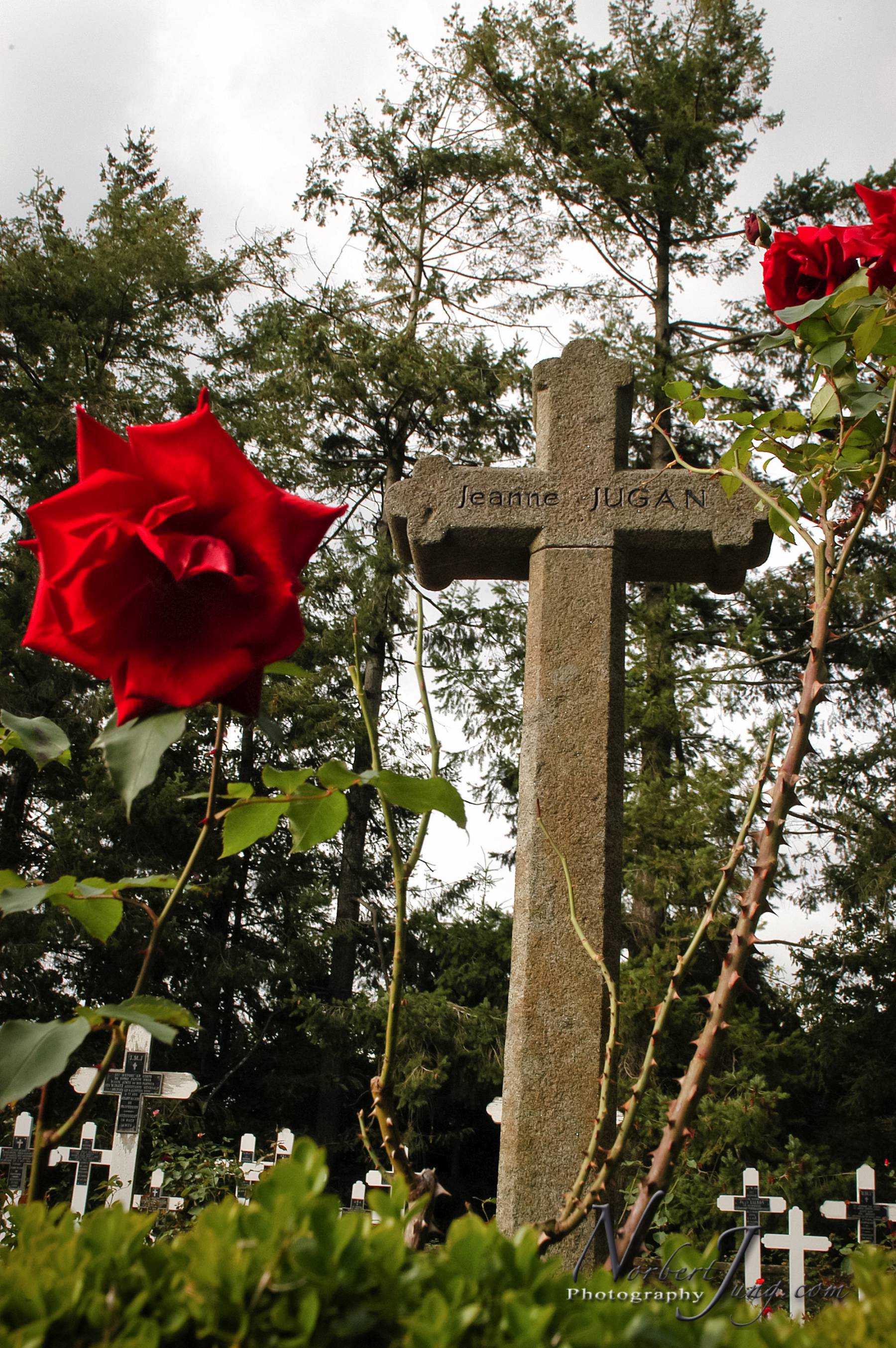 Nom de l'image : E00011648-01a_(c)www.Norbert-JUNG-com-Photographe — Description :