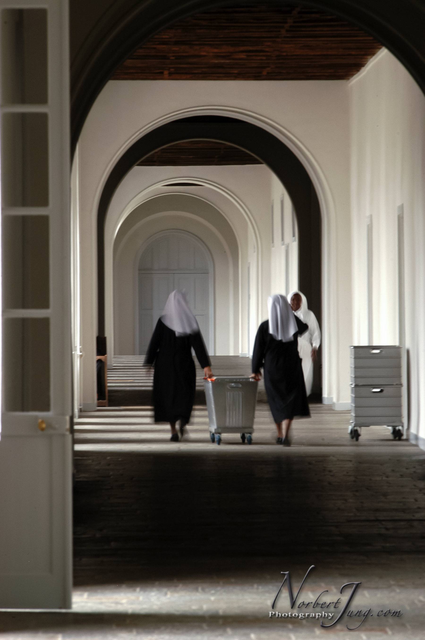 Nom de l'image : E00011705-01a_(c)www.Norbert-JUNG-com-Photographe — Description :