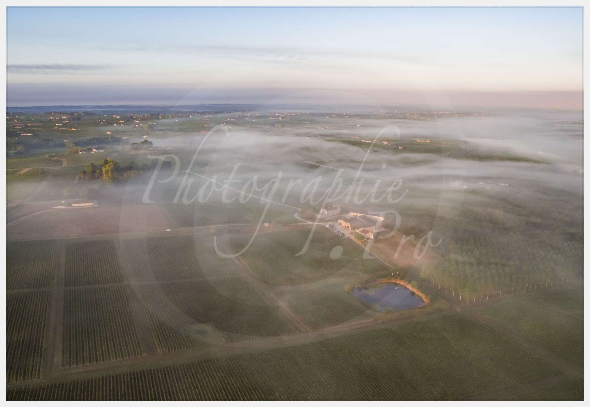 Nom de l'image : Livre-Vendanges-Corbin-2016_p04_c_Photographie.Pro — Description :