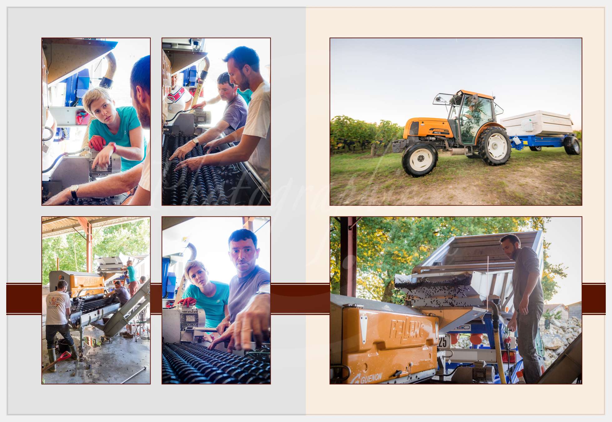 Nom de l'image : Livre-Vendanges-Corbin-2016_p06_c_Photographie.Pro — Description :