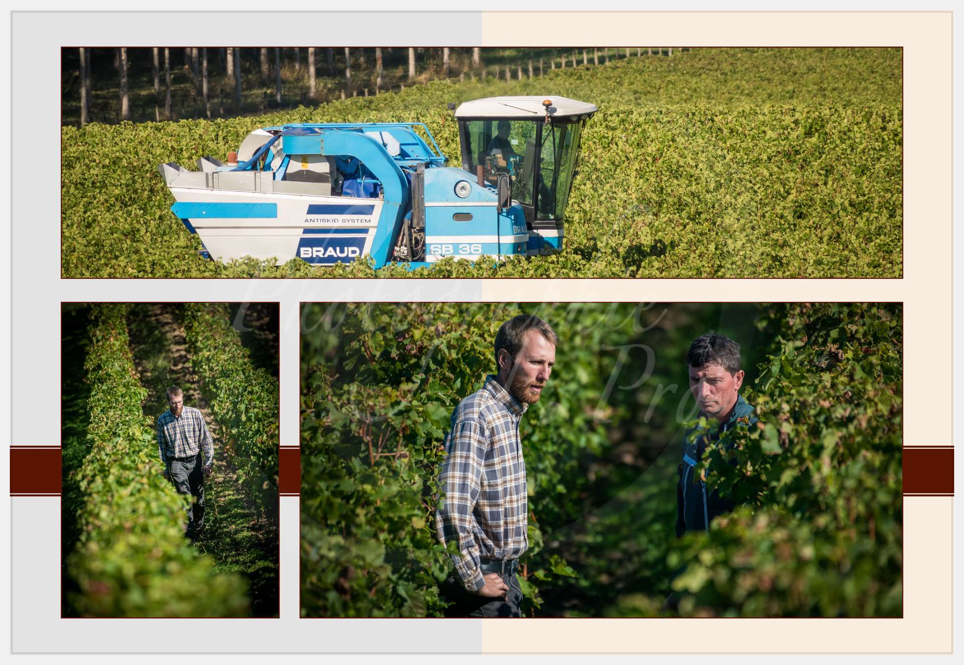 Nom de l'image : Livre-Vendanges-Corbin-2016_p09_c_Photographie.Pro — Description :