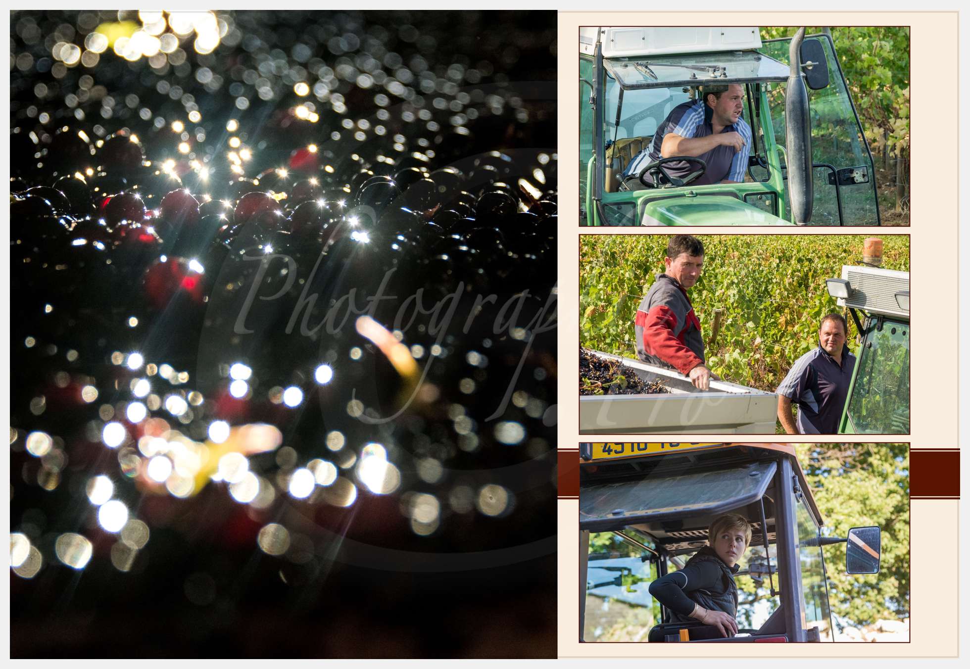 Nom de l'image : Livre-Vendanges-Corbin-2016_p11_c_Photographie.Pro — Description :