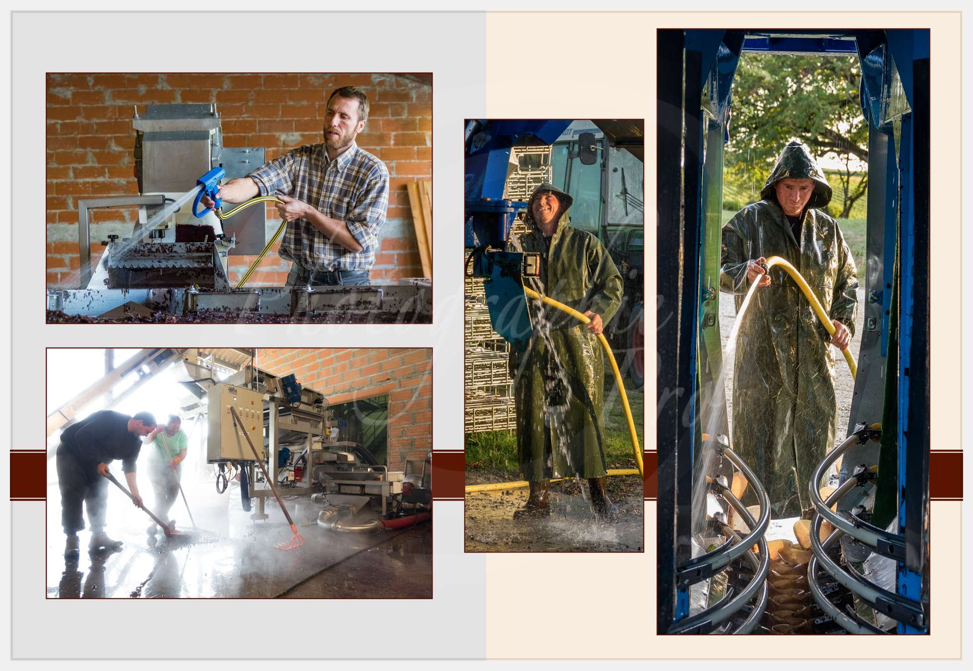 Nom de l'image : Livre-Vendanges-Corbin-2016_p13_c_Photographie.Pro — Description :